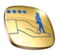 Icon Servicevertrag Gold